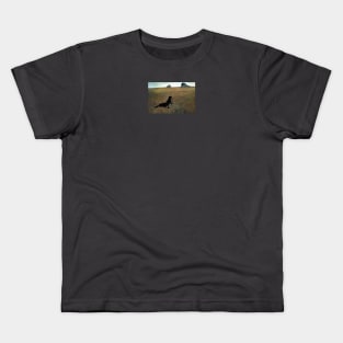 Wyeth's Risk Kids T-Shirt